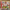 Farmyard Sound Puzzle