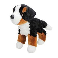 Miranda Bernese Mountain Dog