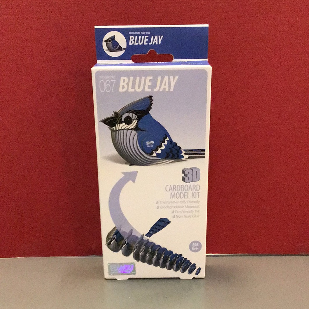 Blue Jay 3D model- Eugy