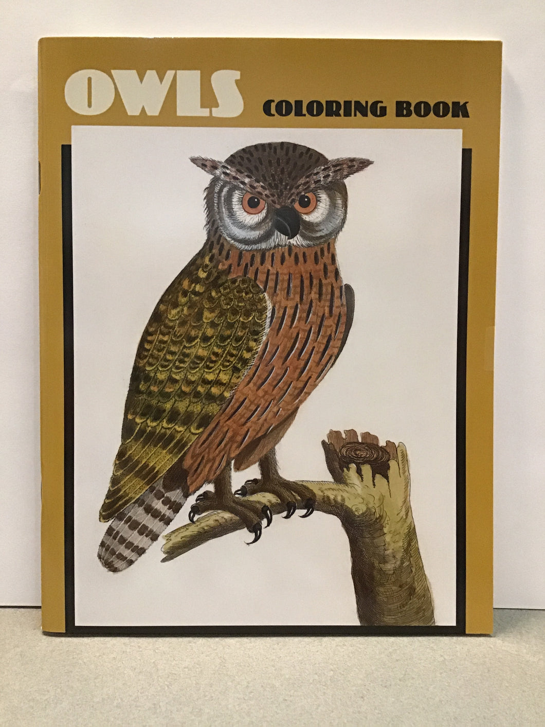 Owls coloring book