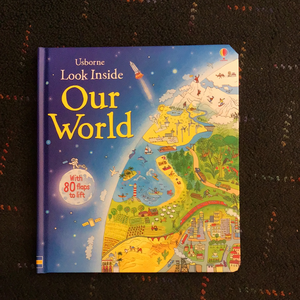 Look Inside Our World book- Usborne