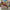 EyeSpectro