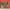 Butchart Gardens 1000 pc