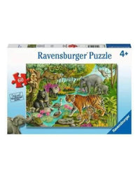 Animals of India 60pc