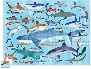 Thirty Six Animals 100pc Puzzle: Shark World