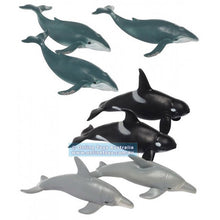 Load image into Gallery viewer, Whales &amp; Dolphins Collection
