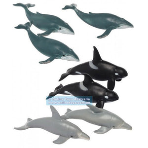 Whales & Dolphins Collection
